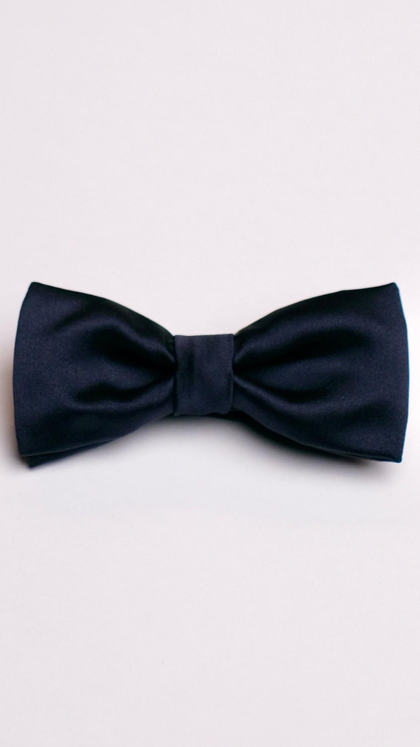 Papion Navy by Iorgoni